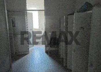Hall / corridoio - Capannone via Verbano
154, Novara - foto 11