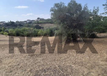 Giardino - Building land CONTRADA FORESTA
 
snc, Ariano Irpino - photo 2