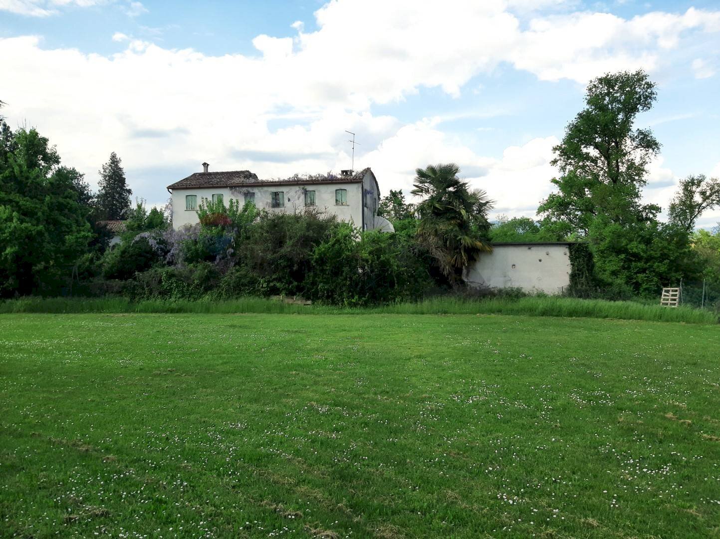 Giardino - Terreno edificabile Via della Croda
SNC, Sernaglia della Battaglia - foto 3