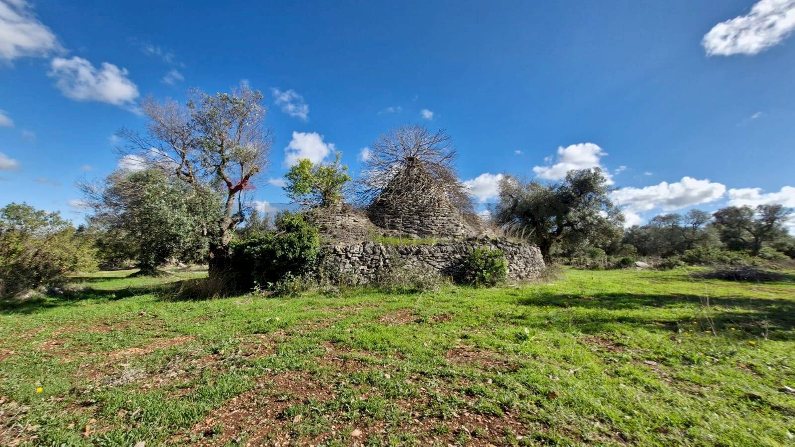 Giardino - Baita Contrada Fedele Grande
snc, Ceglie Messapica - foto 2