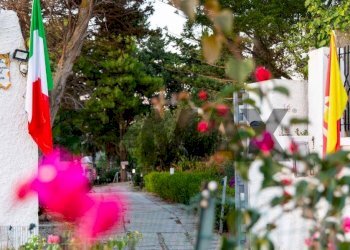 Giardino - Villa Via Leonardo Sciascia
16, Valderice - foto 5