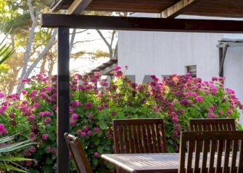 Terrazza - Villa Via Leonardo Sciascia
16, Valderice - foto 17