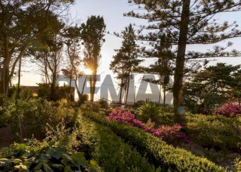 Giardino - Villa Via Leonardo Sciascia
16, Valderice - foto 18