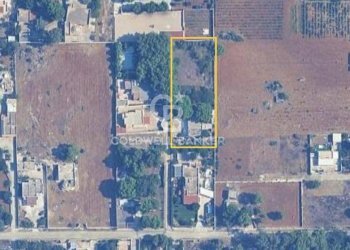 Foto 38 - Villa Via Volga
 
3, Torricella - photo 38