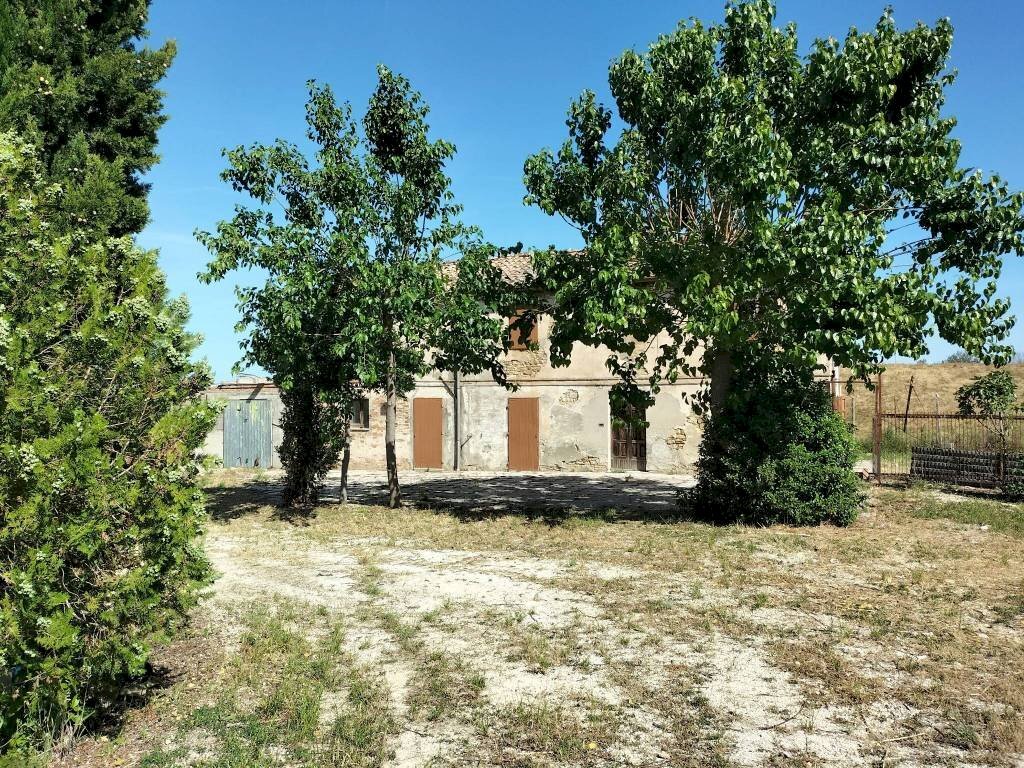 Terreno - Rustic contrada Romita, 23, Montecarotto - photo 3