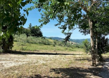 Terreno - Rustic contrada Romita, 23, Montecarotto - photo 8