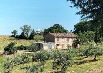Terreno - Rustic contrada Romita, 23, Montecarotto - photo 11