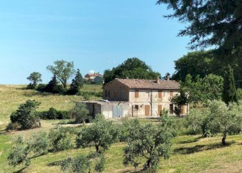 Terreno - Rustic contrada Romita, 23, Montecarotto - photo 12