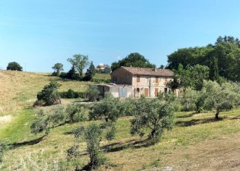 Terreno - Rustic contrada Romita, 23, Montecarotto - photo 13