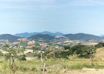 Vista - Rustic contrada Romita, 23, Montecarotto - photo 14