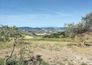 Terreno - Rustic contrada Romita, 23, Montecarotto - photo 15