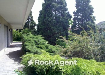 Giardino - Villa via Mariotto, 19, Chignolo Po - photo 11