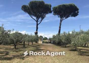 Terreno - Villa via Borgomanero, 36, Roma - foto 13