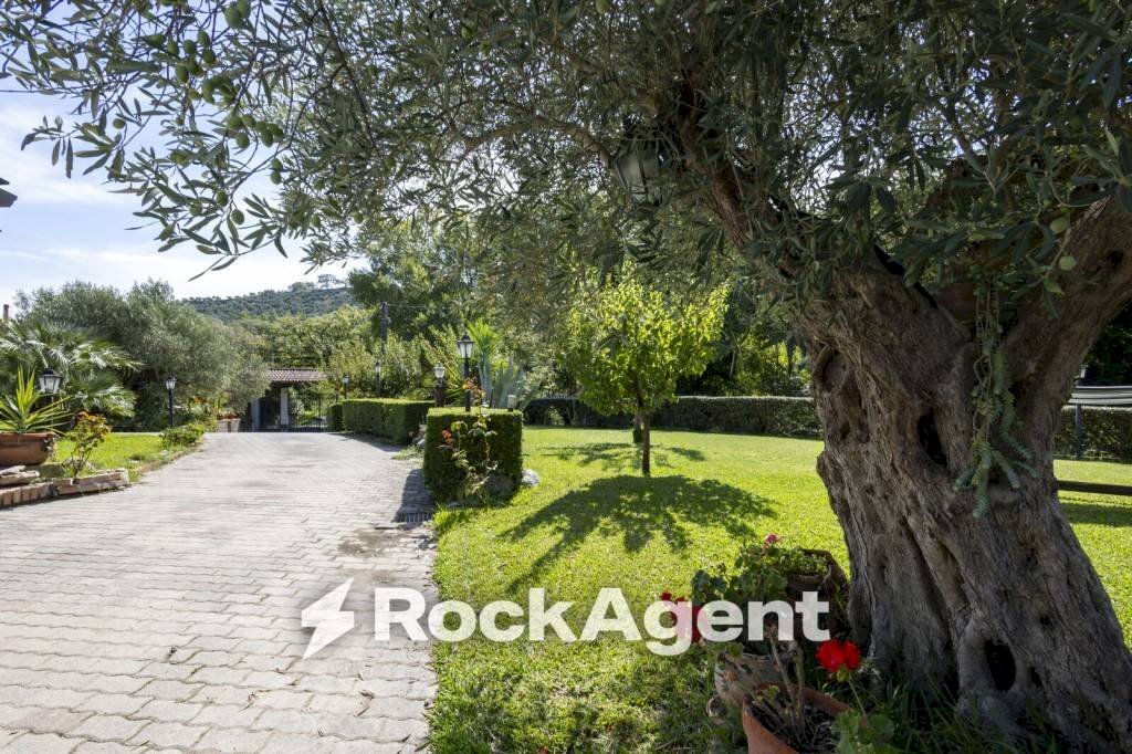 Giardino - Villa contrada Zaccano, Caraffa di Catanzaro - foto 2