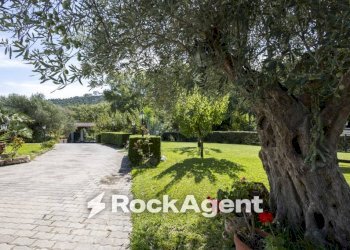 Giardino - Villa contrada Zaccano, Caraffa di Catanzaro - photo 2