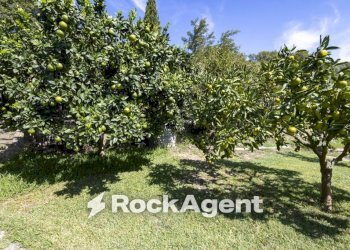 Terreno - Villa contrada Zaccano, Caraffa di Catanzaro - photo 6