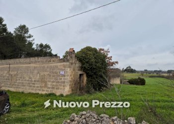 Terreno - Rustic Carraro dei Girardi, Gioia del Colle - photo 1