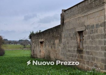Terreno - Rustic Carraro dei Girardi, Gioia del Colle - photo 2