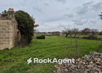 Terreno - Rustic Carraro dei Girardi, Gioia del Colle - photo 9