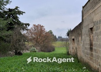 Terreno - Rustic Carraro dei Girardi, Gioia del Colle - photo 10