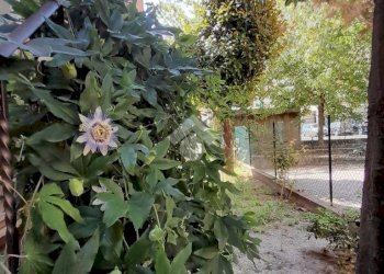Trilocale Via Quirino di Marzio, Bologna (zona Battindarno) - foto 28