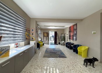 image00018 - Office Catanzaro - photo 3