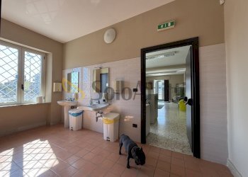 image00020 - Office Catanzaro - photo 5