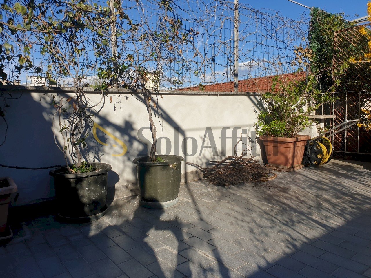 20190318_162031.jpg - Two-room apartment Via Lodovico Settala 1, Milano - photo 2