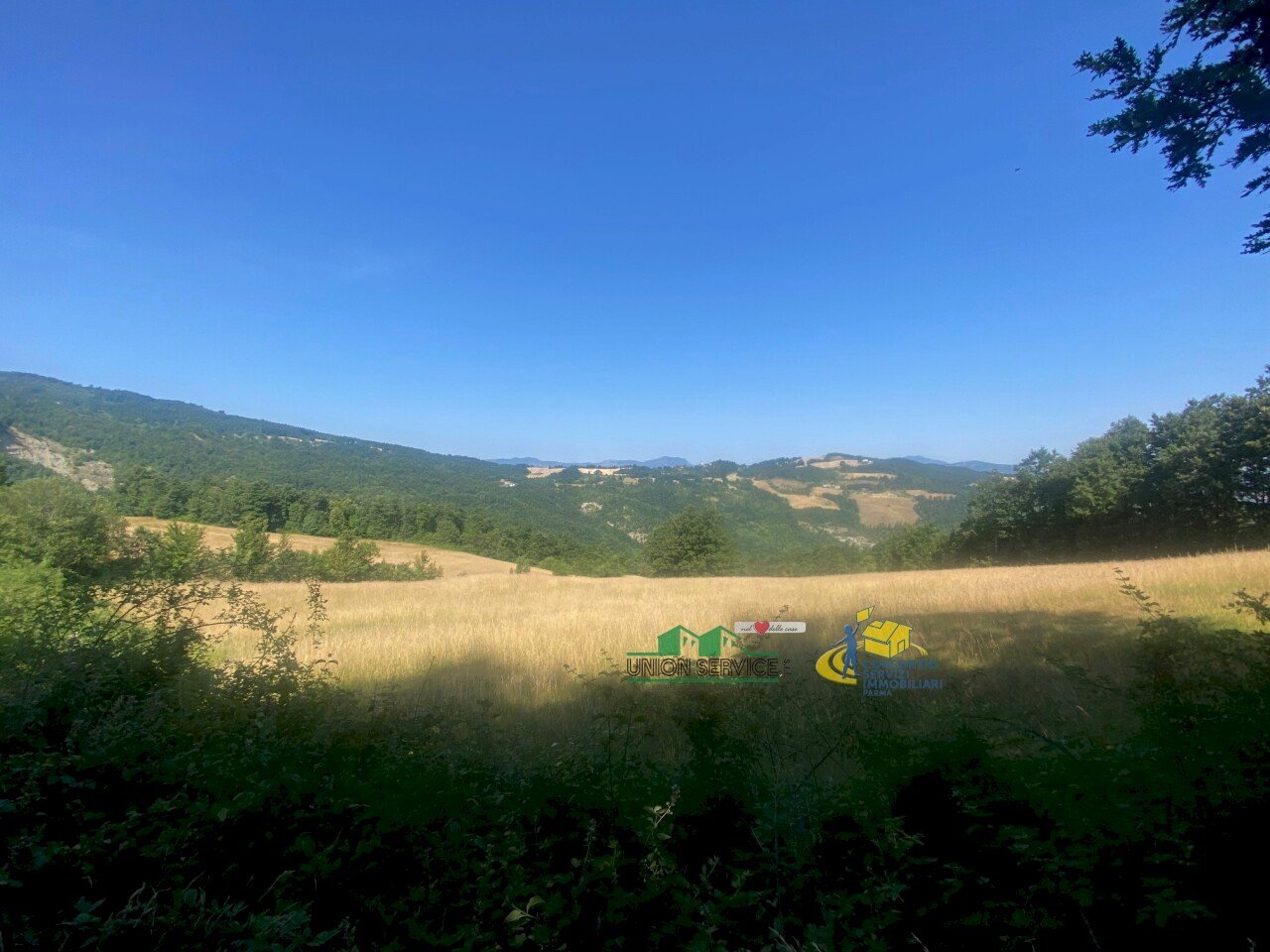 5 - Agricultural land Località Molinelli 59, Berceto - photo 3