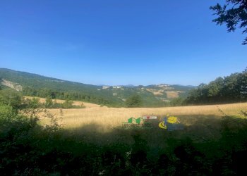 5 - Agricultural land Località Molinelli 59, Berceto - photo 3