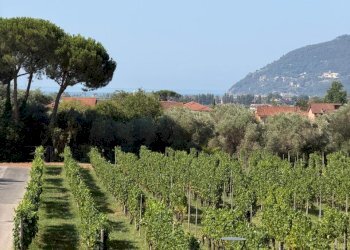 b2ba0c0b-4949-4e3f-9a28-baf1750379b1 - Villa a Schiera Via Larga 37, Luni - foto 30