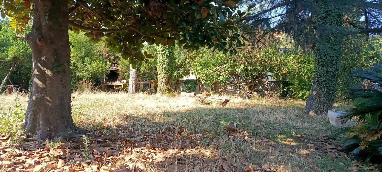 IMG_20260729_093439 - Loft Massarosa - photo 1