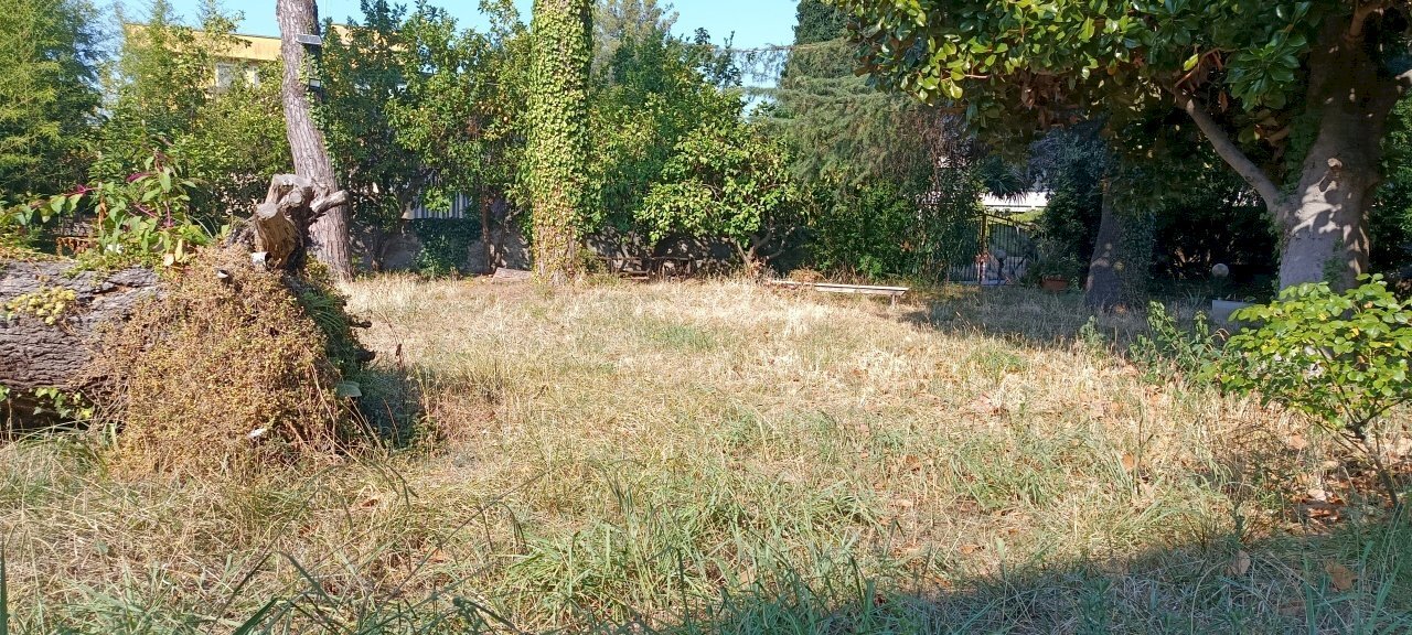 IMG_20260729_093456 - Loft Massarosa - photo 2