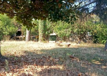 IMG_20260729_093439 - Loft Massarosa - photo 1