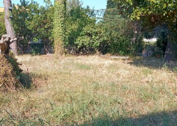 IMG_20260729_093456 - Loft Massarosa - photo 2
