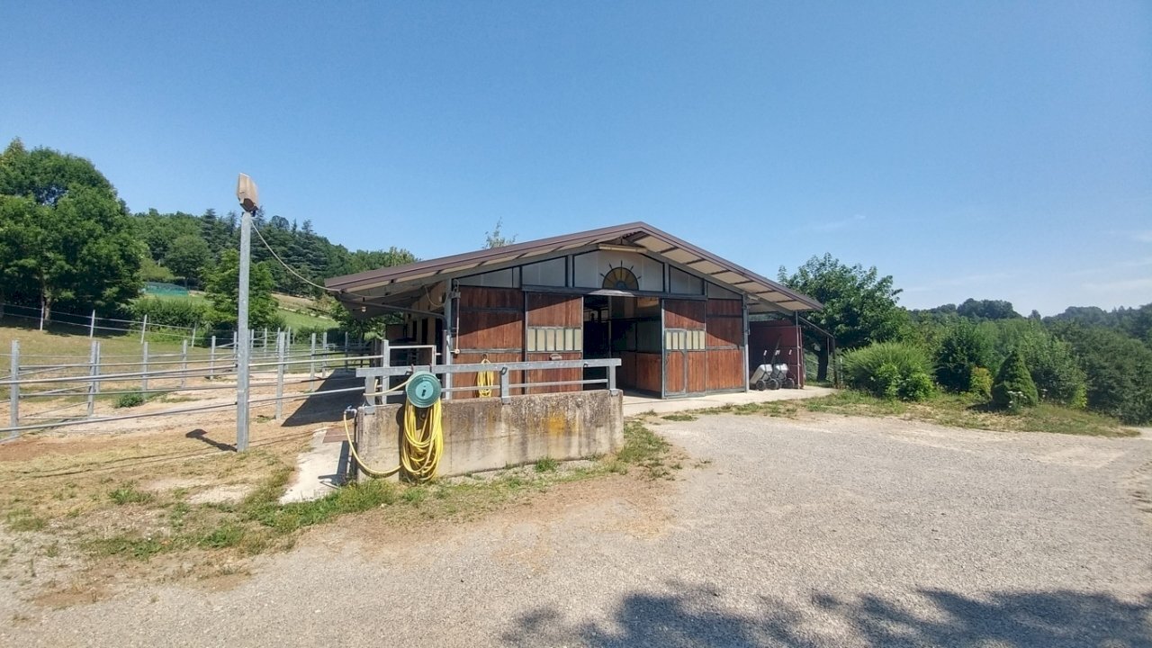 Rustico_Scuderia_Terreno_Guiglia (2) - Casale Via Vignolese 1534, Zocca - photo 2