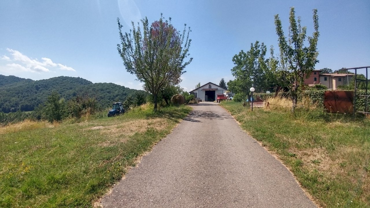 Rustico_Scuderia_Terreno_Guiglia (3) - Casale Via Vignolese 1534, Zocca - photo 3