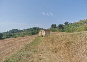 20260717_095337 - Rustico Via del Fossato, Guardea - foto 1