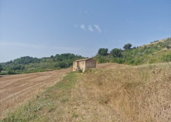 20260717_095344 - Rustico Via del Fossato, Guardea - foto 2