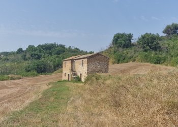 20260717_095348 - Rustico Via del Fossato, Guardea - foto 3