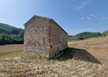 20260717_095619 - Rustico Via del Fossato, Guardea - foto 12