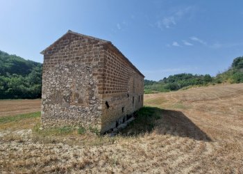 20260717_095621 - Rustico Via del Fossato, Guardea - foto 13