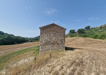 20260717_095632 - Rustico Via del Fossato, Guardea - foto 14