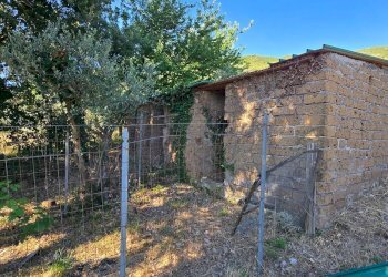 10pollaio - Rustico Vocabolo Vallenera 24, Lugnano in Teverina - foto 18