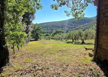 11terreno (1) - Rustico Vocabolo Vallenera 24, Lugnano in Teverina - foto 19