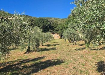 13proprioetà (2) - Rustico Vocabolo Vallenera 24, Lugnano in Teverina - foto 21