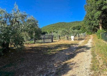 ingresso - Rustico Vocabolo Vallenera 24, Lugnano in Teverina - foto 22