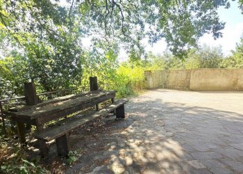 giardino in comune (1) - Three-room apartment Via delle Mimose 37, Montecchio - photo 18