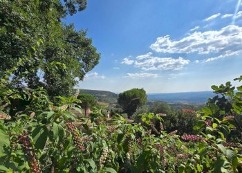 vista (1) - Three-room apartment Via delle Mimose 37, Montecchio - photo 20