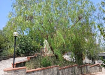 3e5515fd-6deb-4e38-a306-9d1a162eb6a5 - Villa Via Roma, Amelia - photo 2